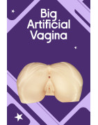 Big Artificial Vagina